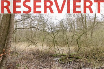 RESERVIERT – Wald und Moorland in Bassum-Hollwedel – Verkauf im Bieterverfahren bis 15.04.2024 !, 27211 Bassum, Land-/Forstwirtschaft